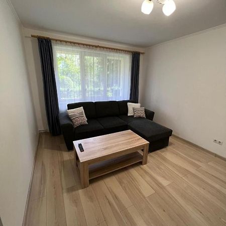 Gold Apartments Baia Mare Dış mekan fotoğraf