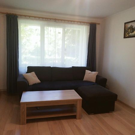 Gold Apartments Baia Mare Dış mekan fotoğraf