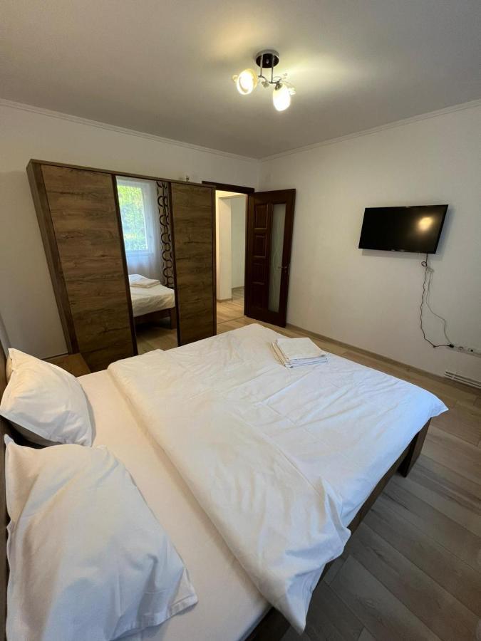 Gold Apartments Baia Mare Dış mekan fotoğraf
