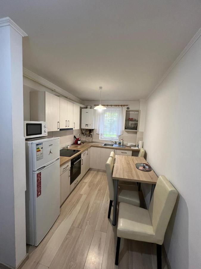 Gold Apartments Baia Mare Dış mekan fotoğraf