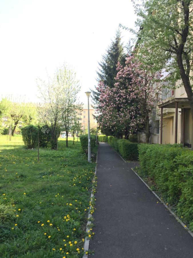 Gold Apartments Baia Mare Dış mekan fotoğraf